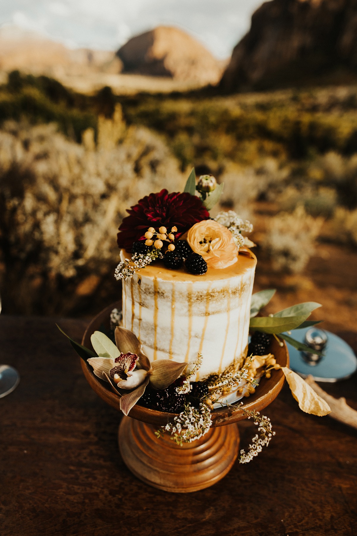 chloewillzionelopement31