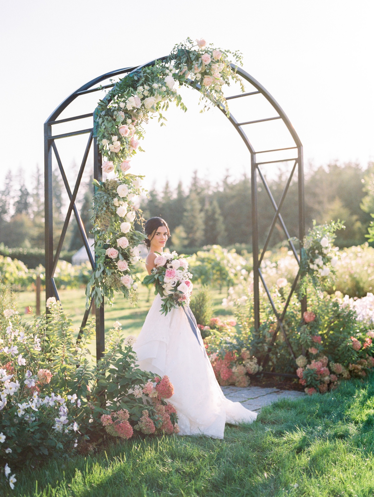 gabriela-ines-monet-vineyard-0050