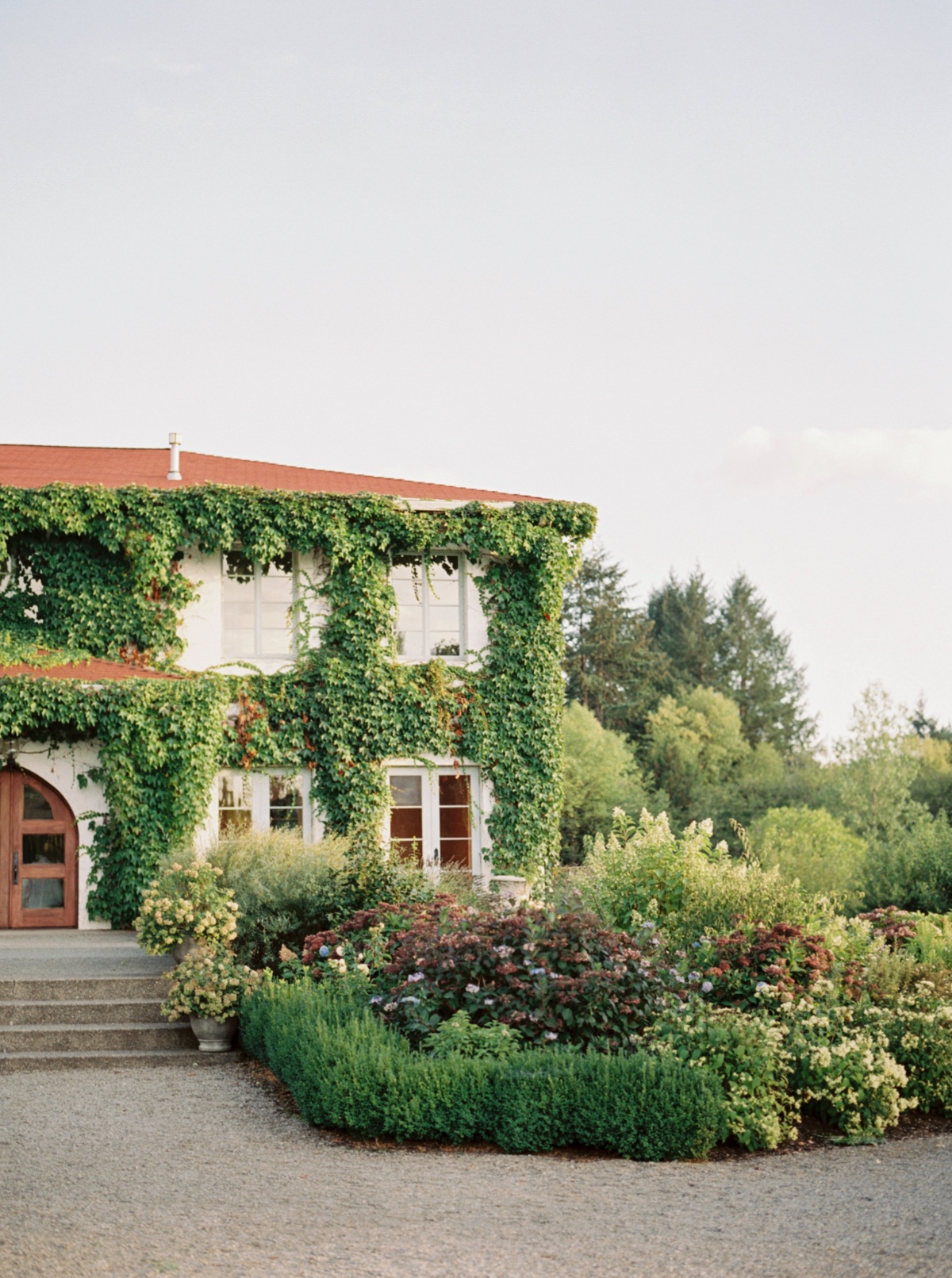 gabriela-ines-monet-vineyard-0071