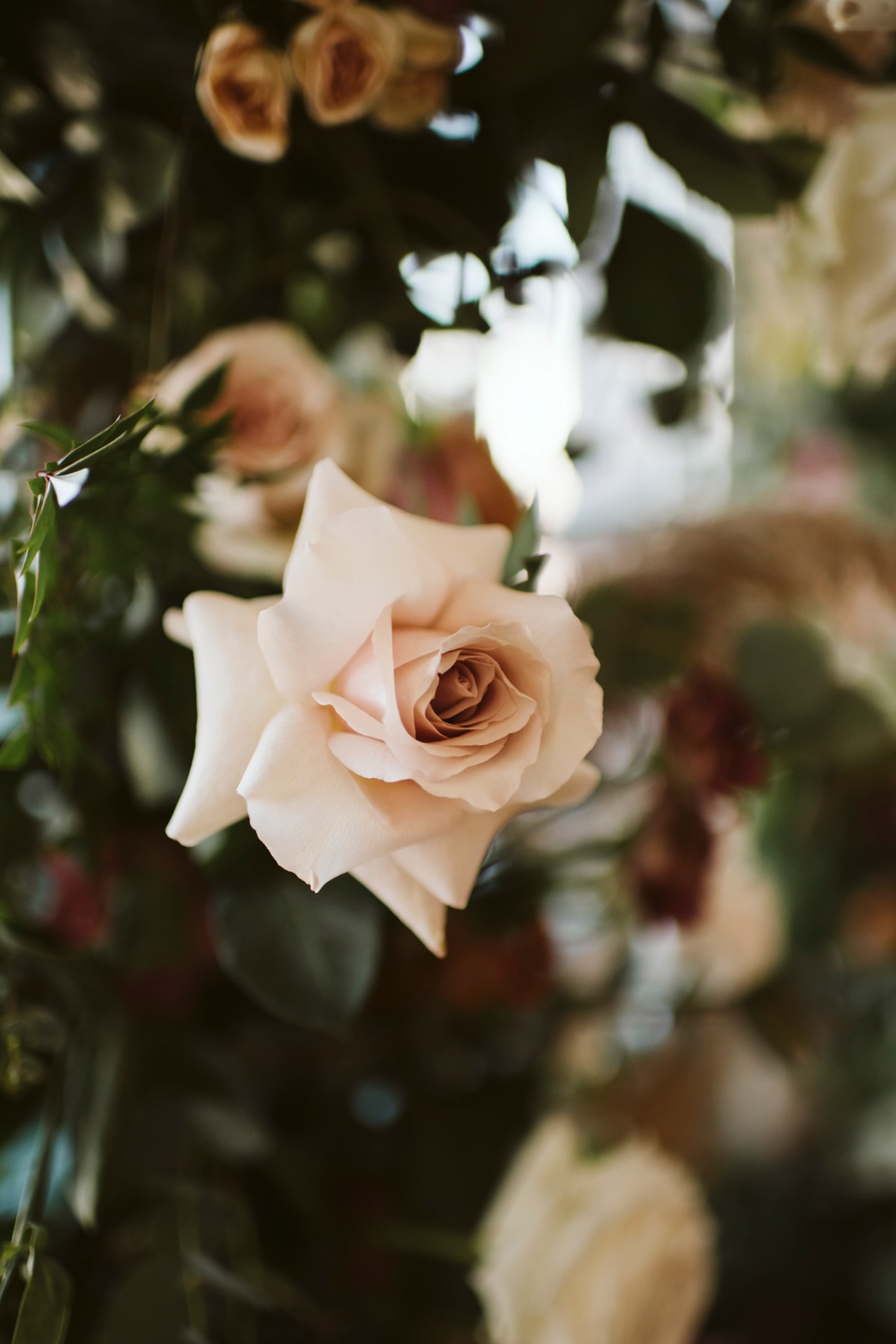 jam_styled_shoot002