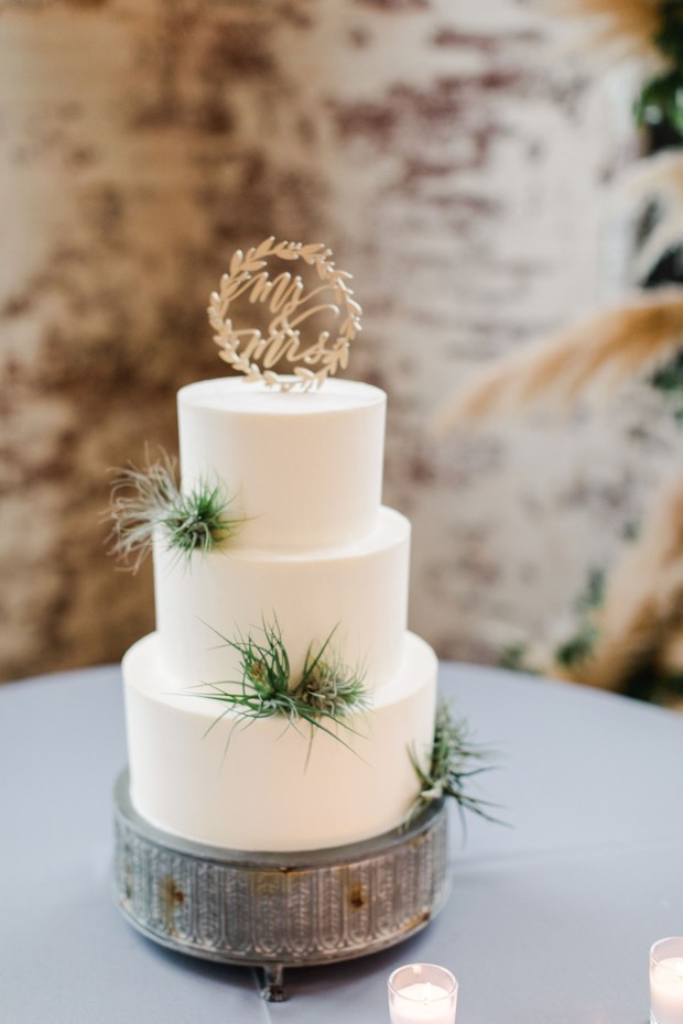 airplant wedding cake