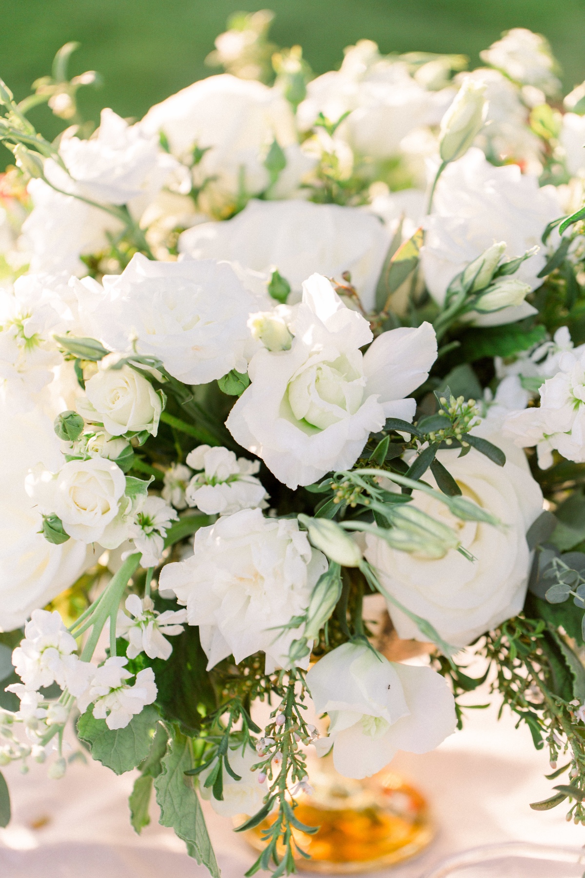 jennyquicksallphotography_fessparkerwine