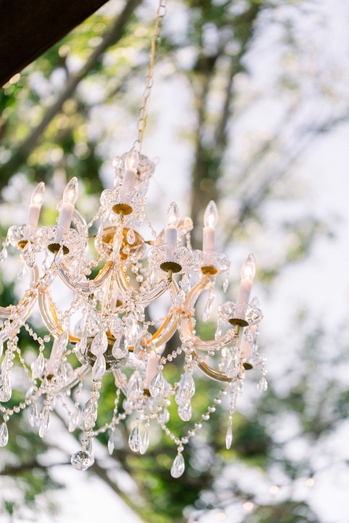 jennyquicksallphotography_fessparkerwine