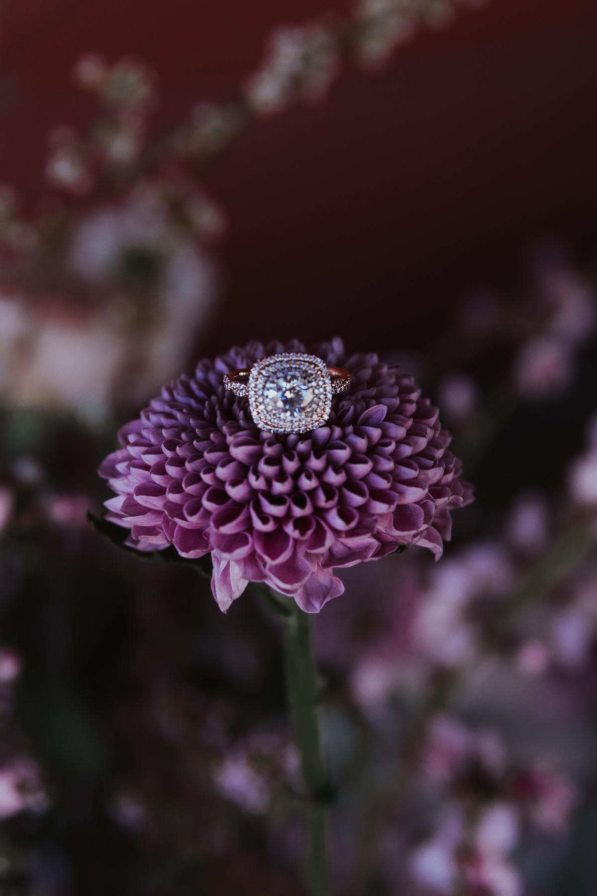 joshua_tree_wedding_-36-of-219