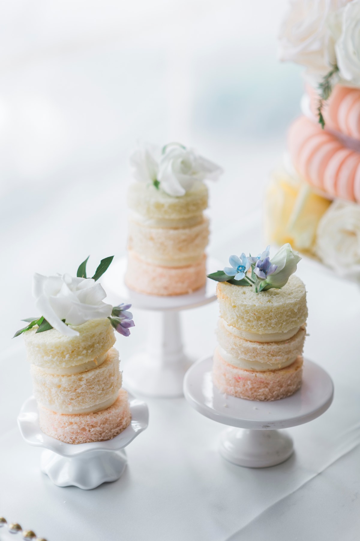 quiring-wedding-0067