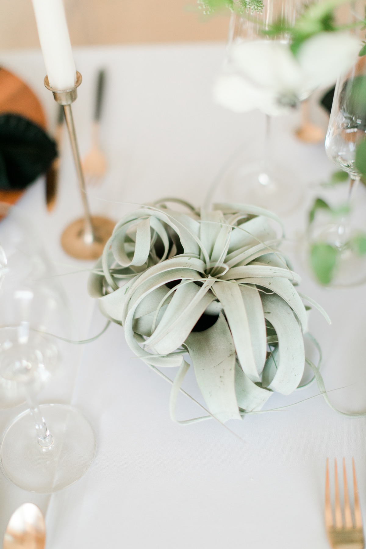sarahhillphotography-26