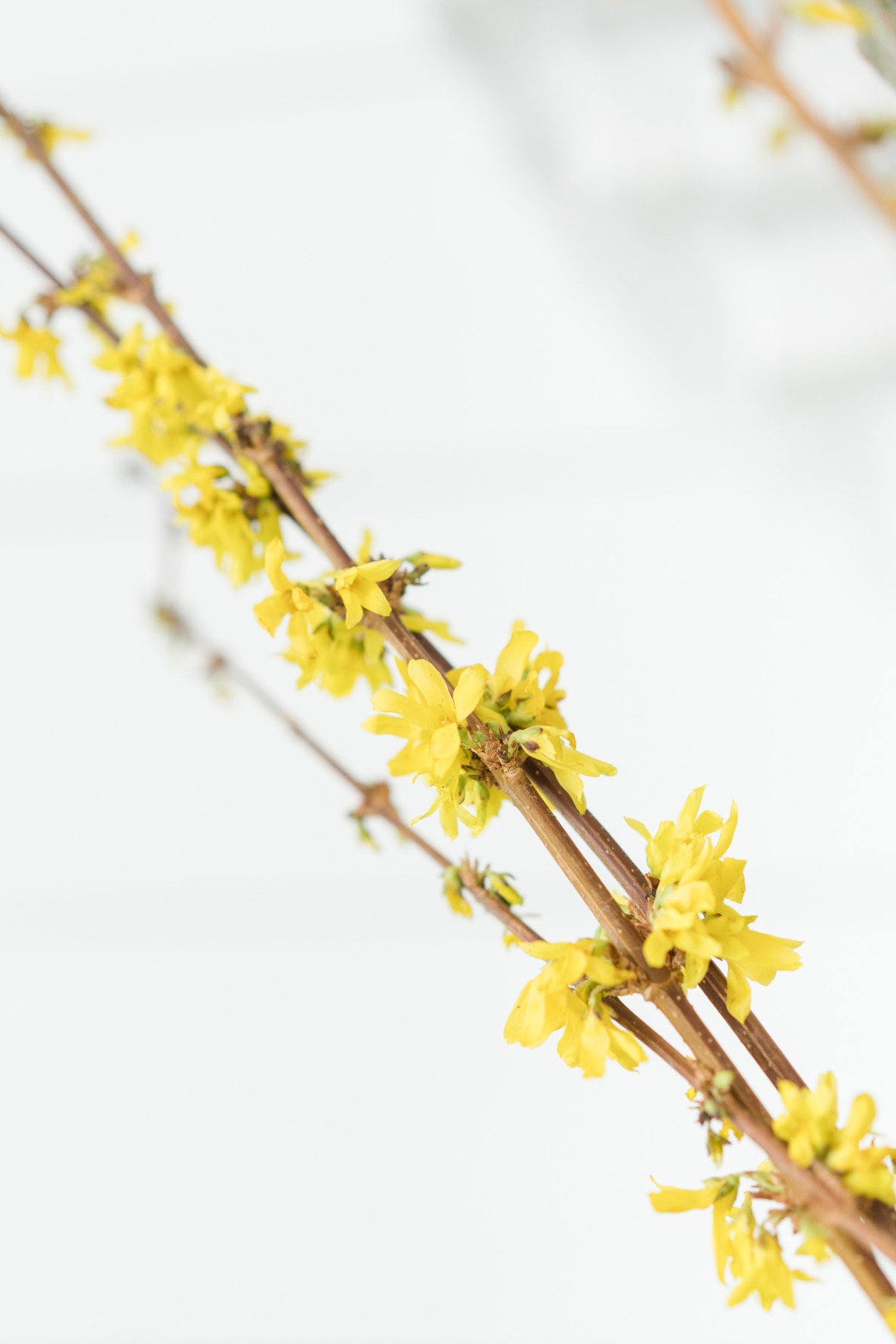 yantesphoto_huttonhouse_styled_02619_033