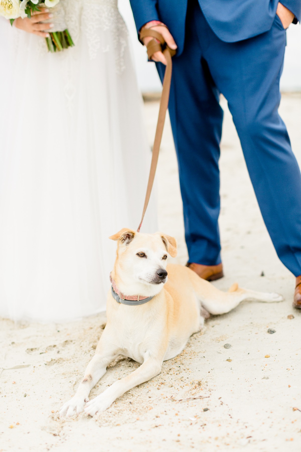 180908_wedding_belliveau_johnson_selects