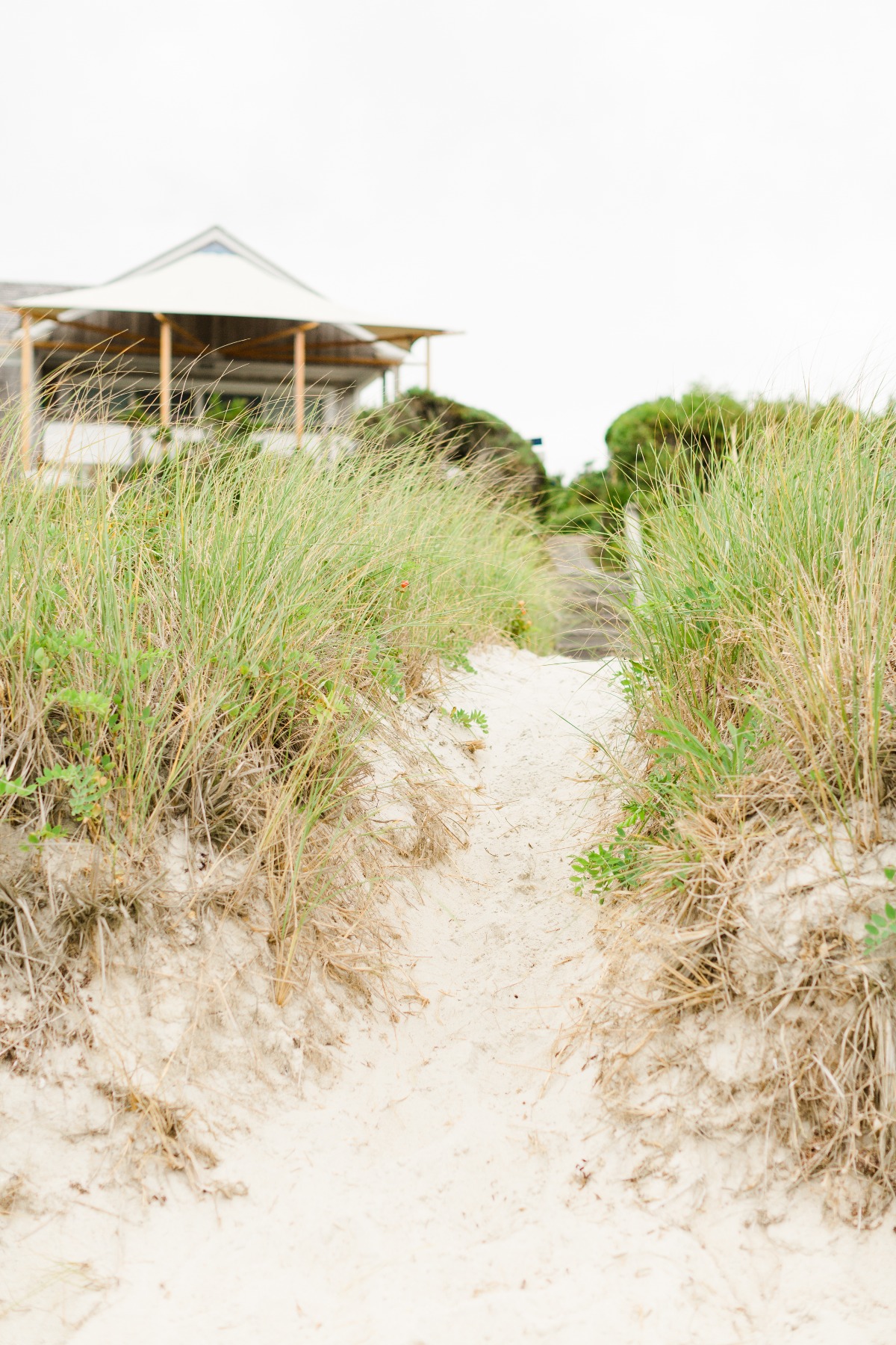 180908_wedding_belliveau_johnson_selects