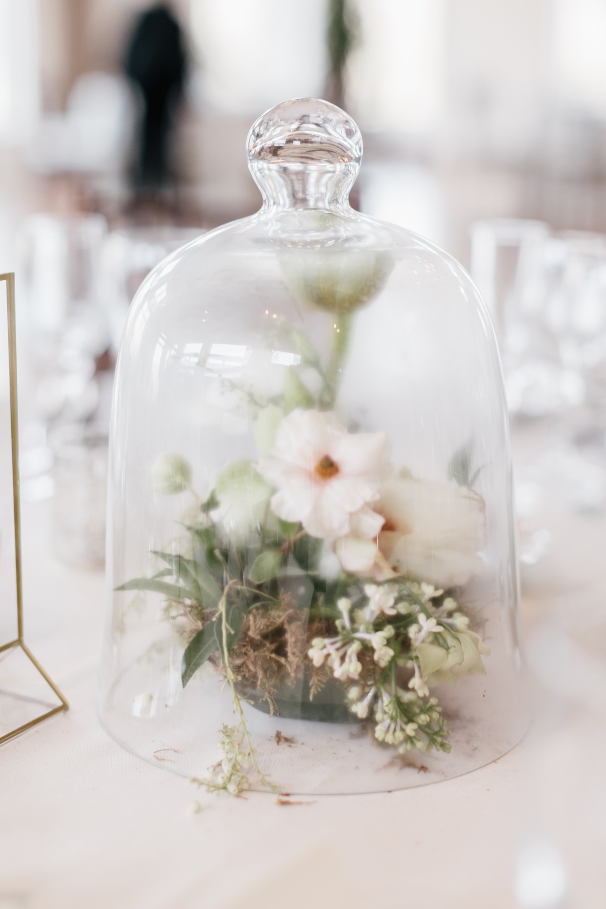 clare_and_andrew-wedding-chicks-077