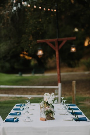 blue and white outdoor wedding reception