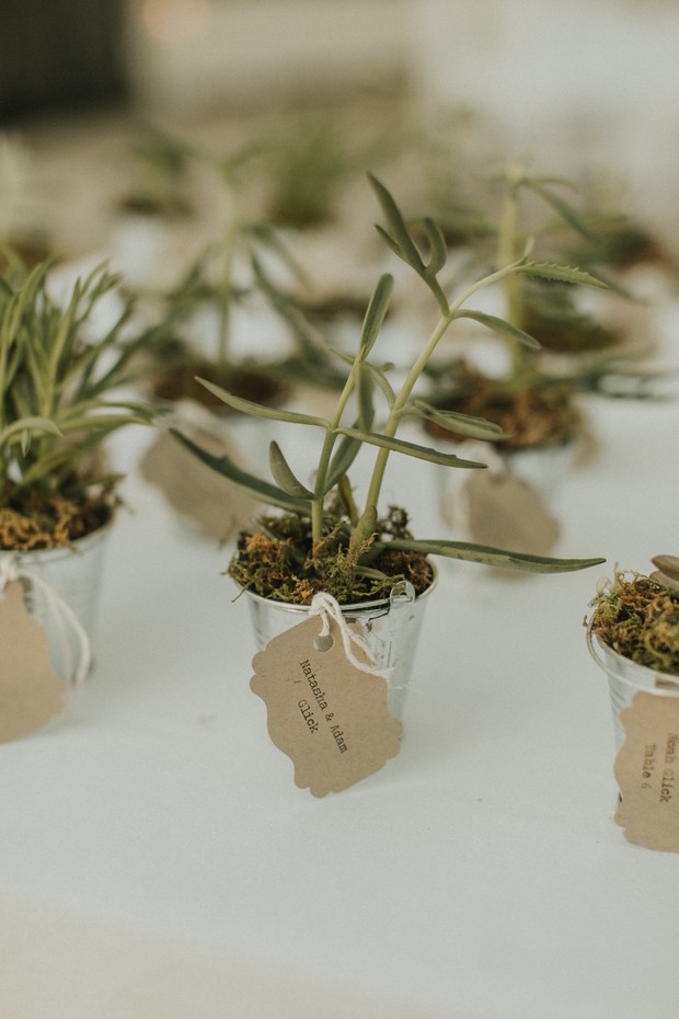 Miniature potted plants with name tags for wedding favors