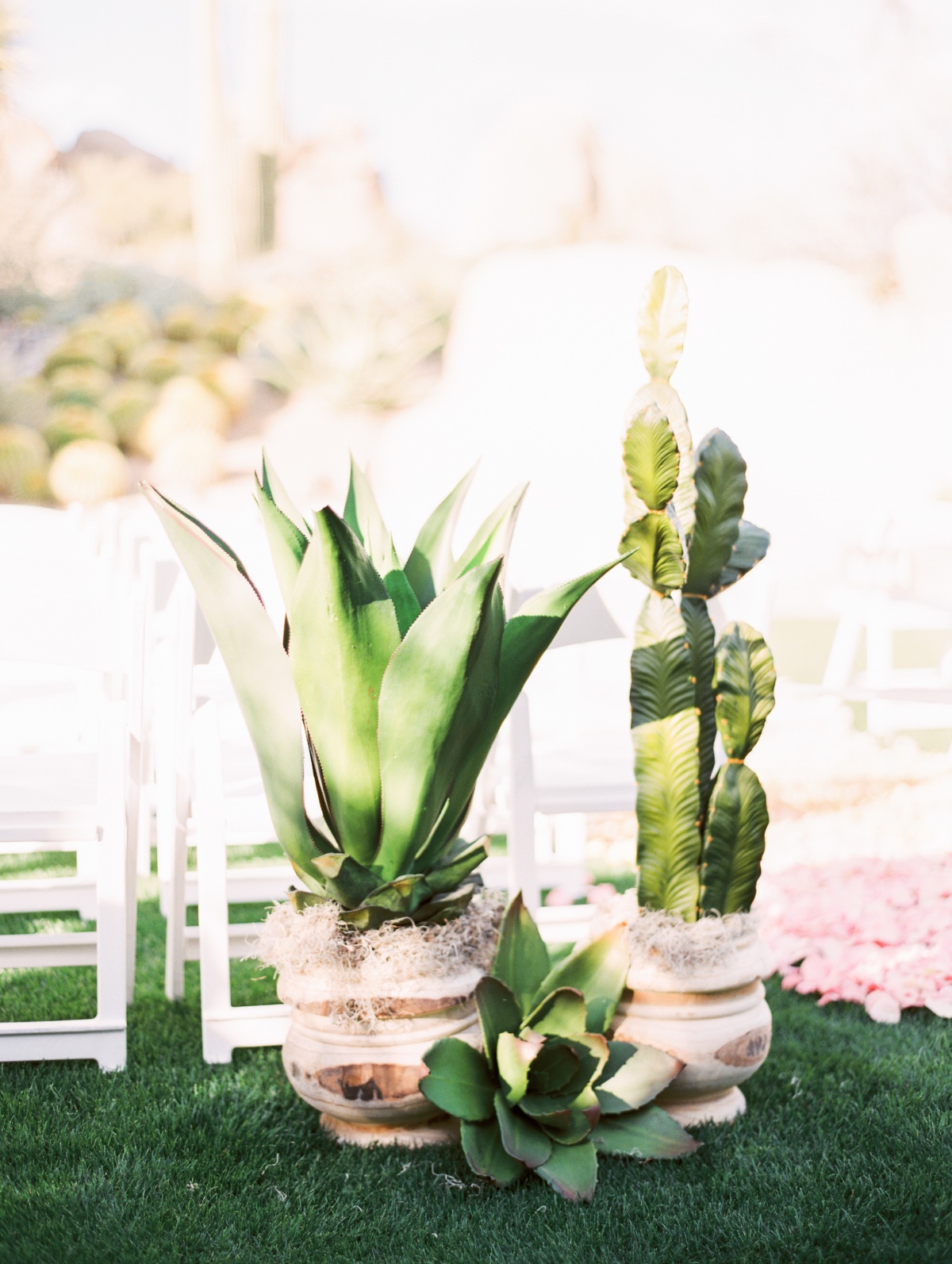 rachelsolomon_arizona-boho-inspired-wedd