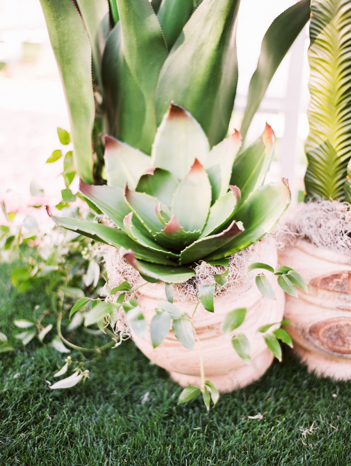 rachelsolomon_arizona-boho-inspired-wedd