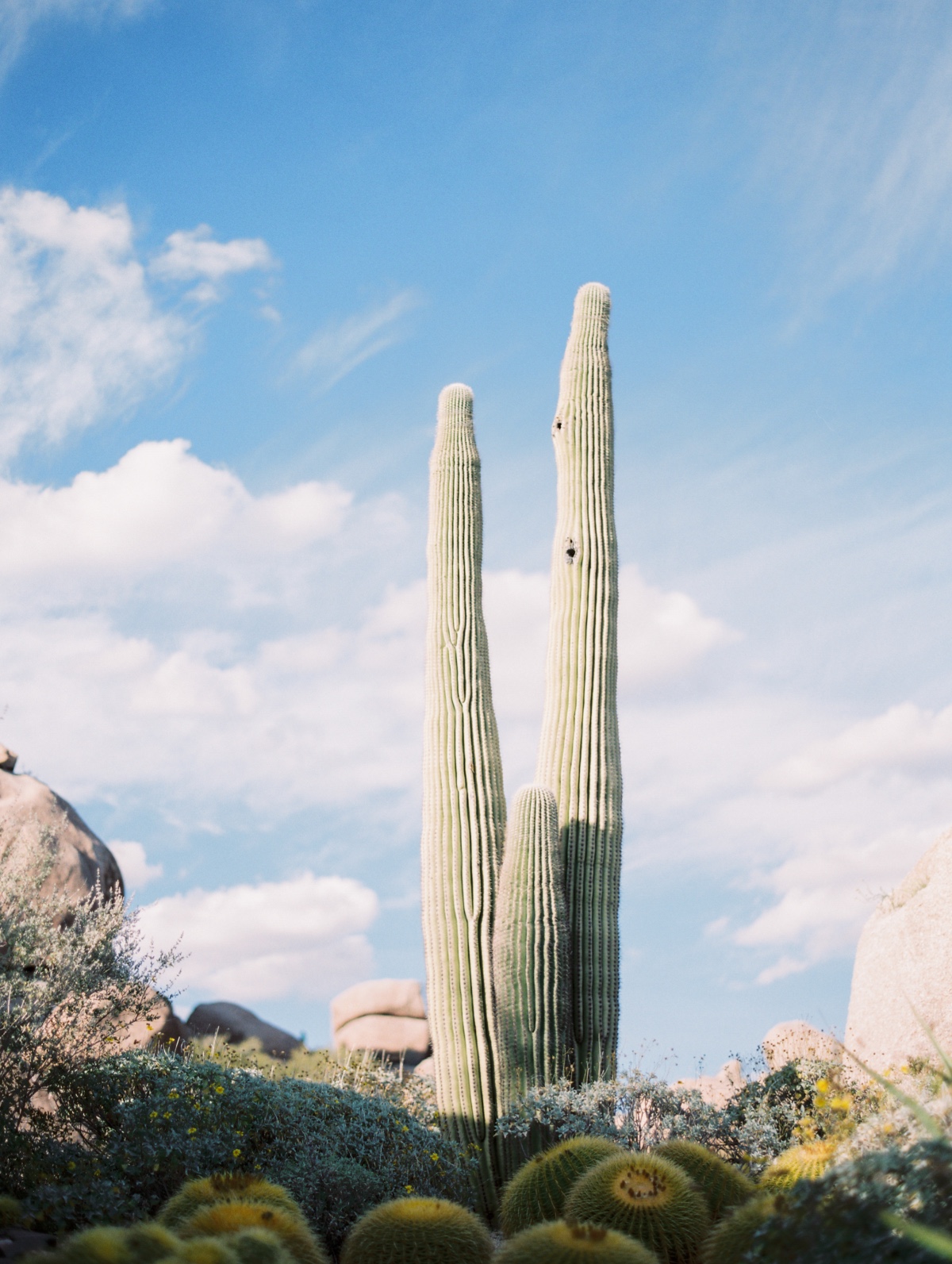 rachelsolomon_arizona-boho-inspired-wedd