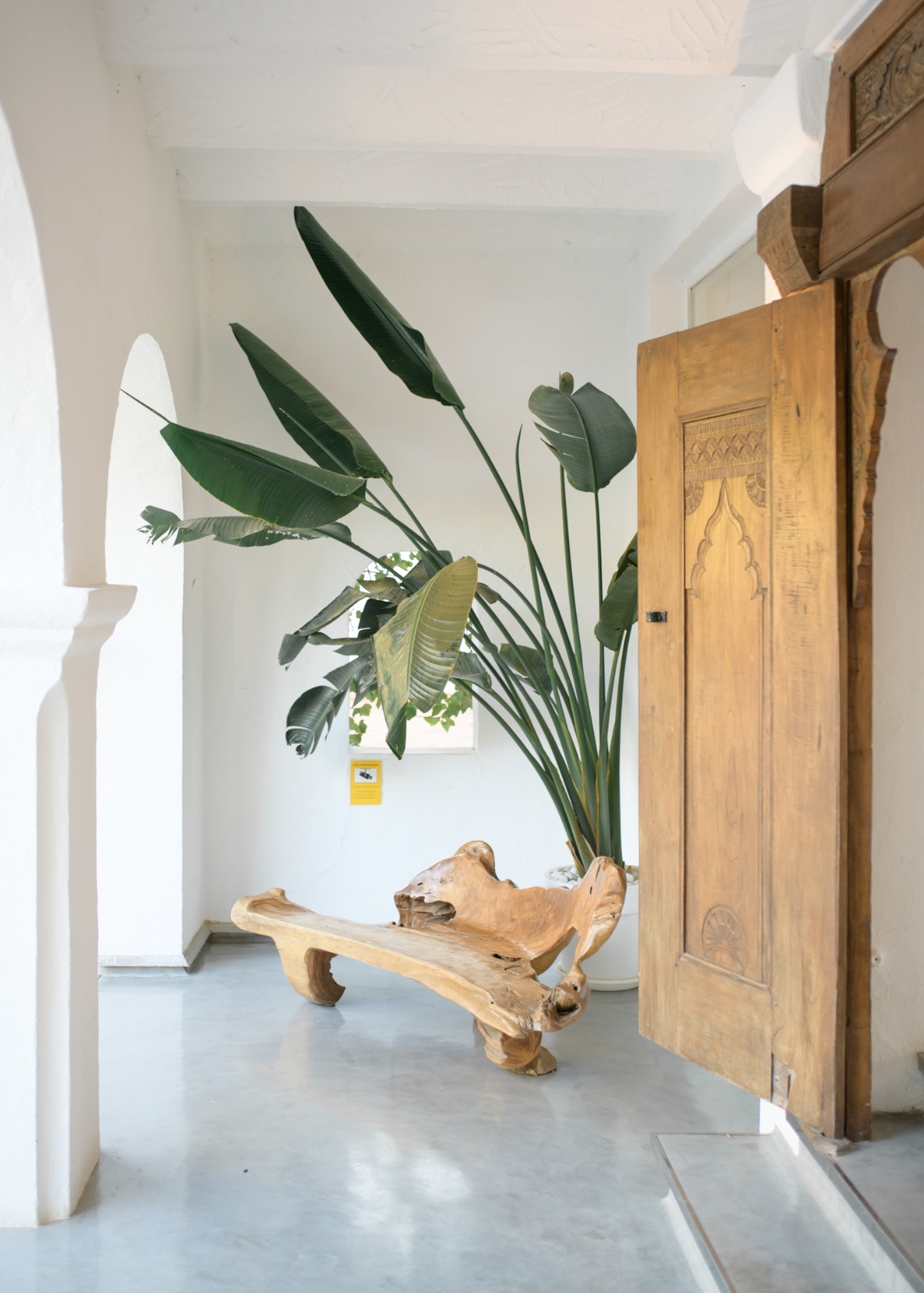 bottega53-ibiza-editorial-104