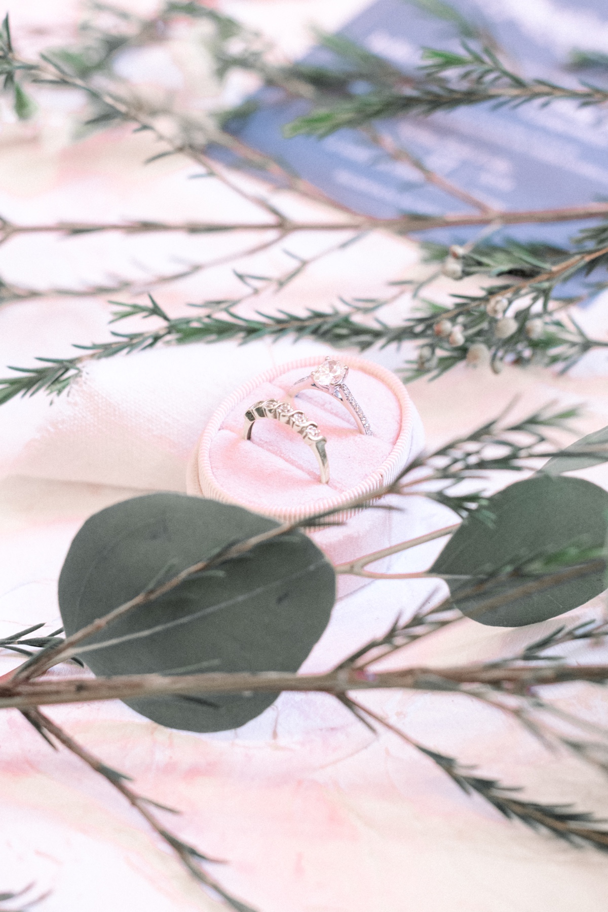 lindsayeileenphotographybw2-2716