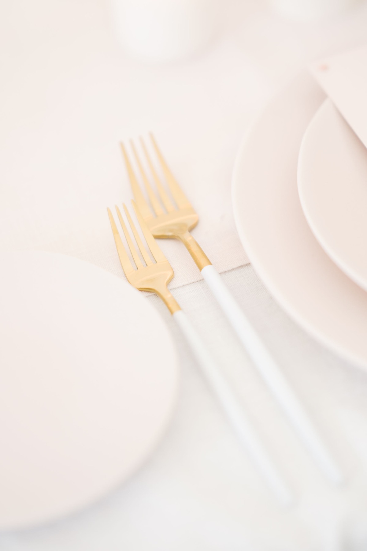 mint-room-studios-pink-wedding-photos-rh