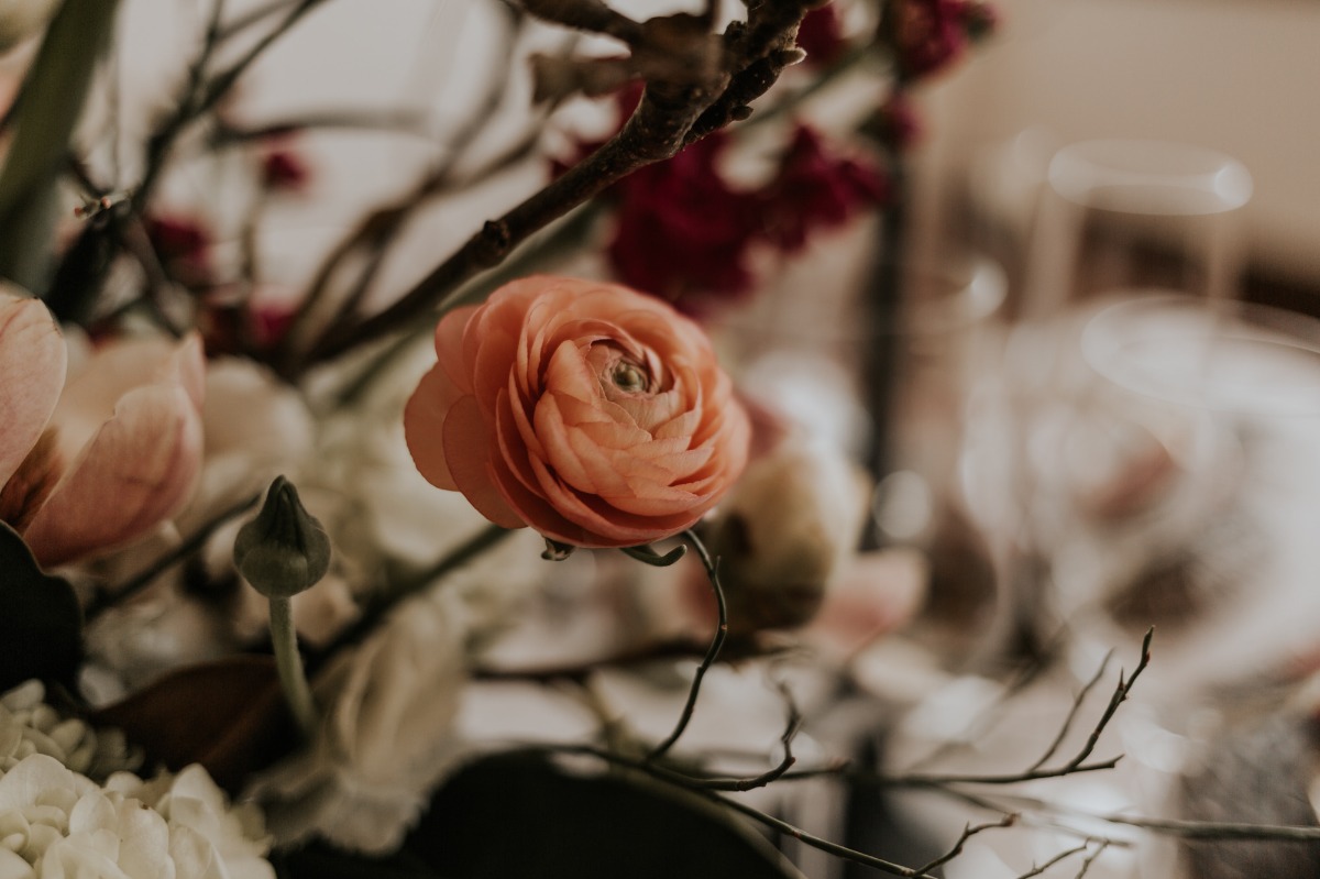saraholiviaphoto-136