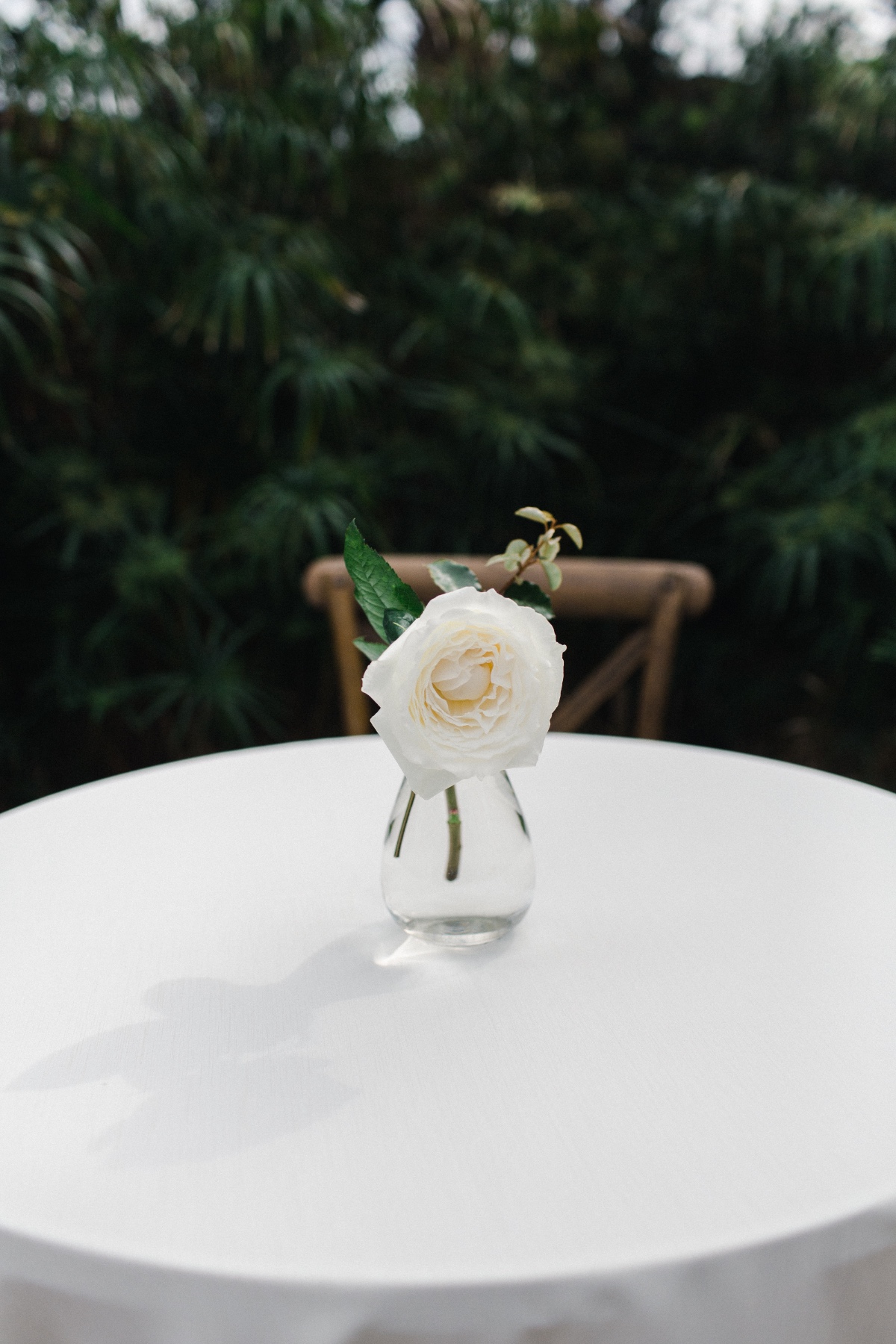 0642anneandwillytheomilophoto