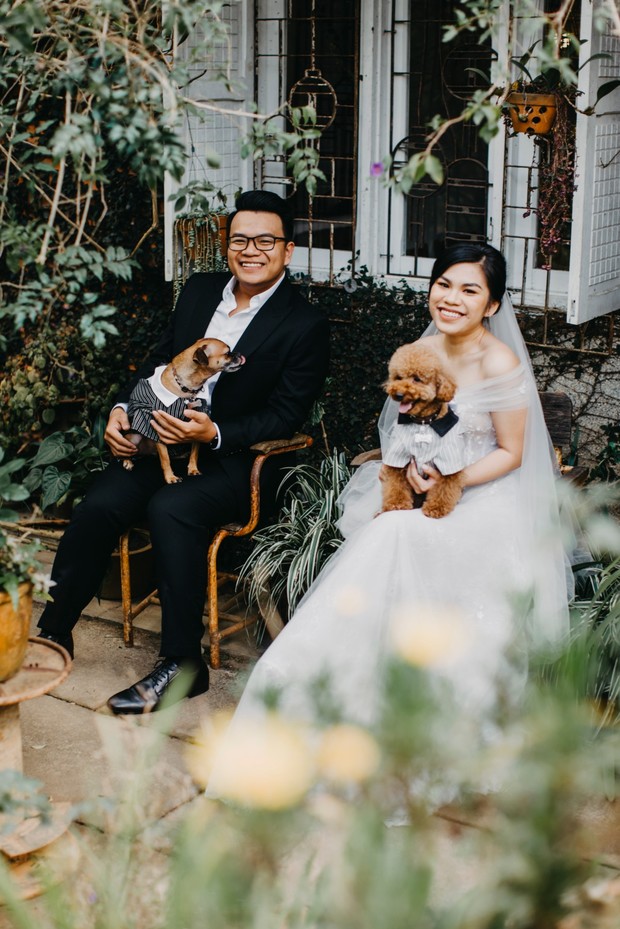 wedding couple and wedding dogs