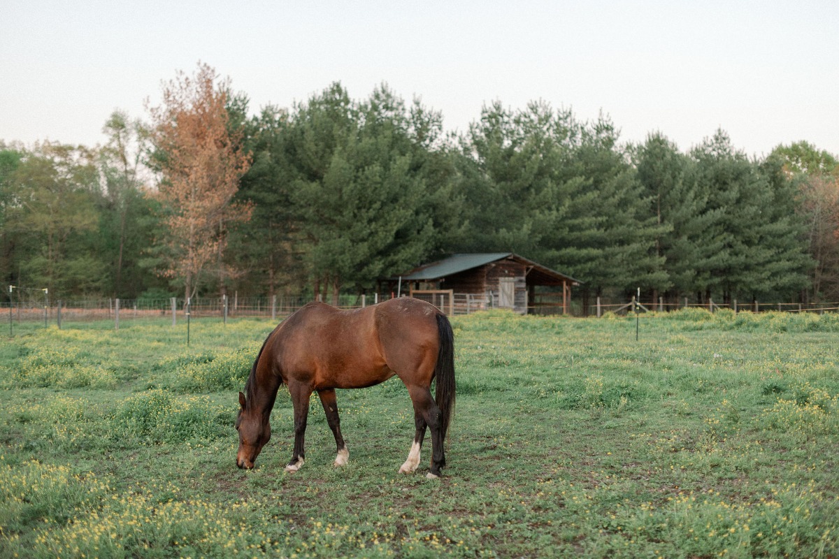 morning-glory-farm_jordan_041019_1251