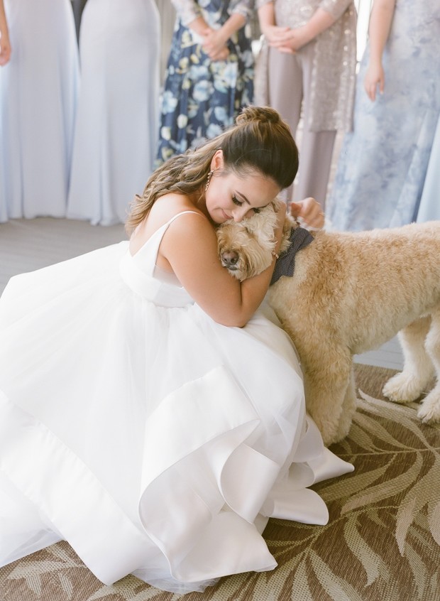 sweet bride and wedding dog photo