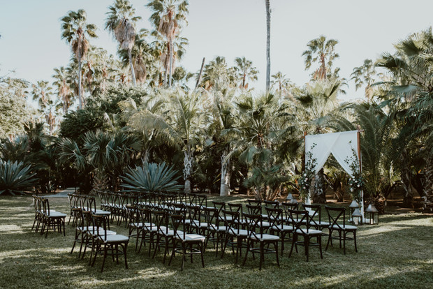 Outdoor wedding ceremony setup with chairs and palm trees