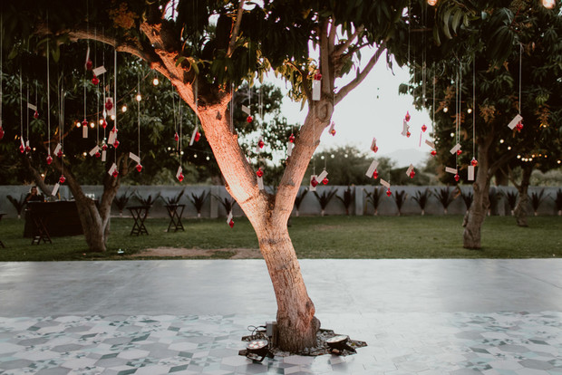 Decorated tree at an outdoor wedding ceremony with ambient lighting