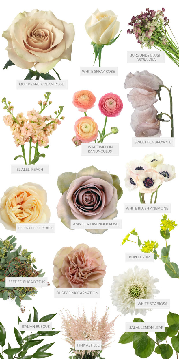 Assorted beautiful flowers for arrangements and bouquets