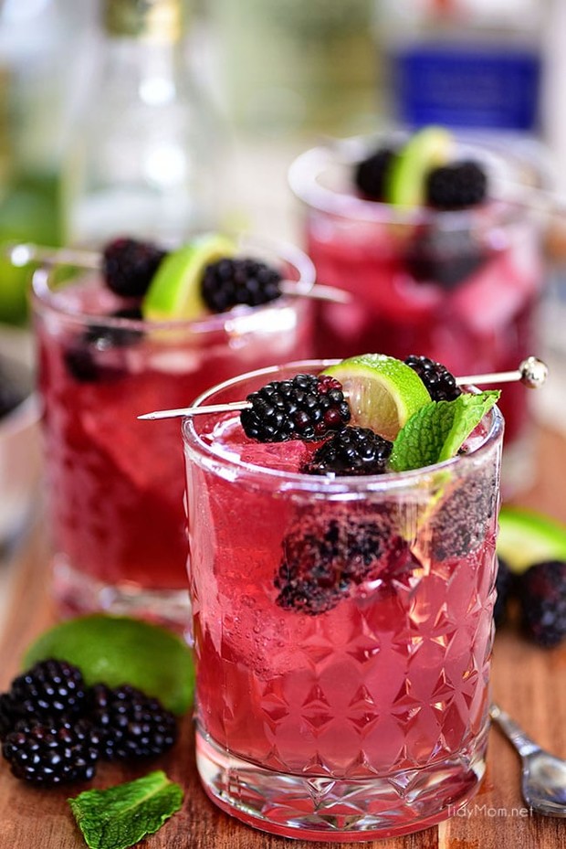 sangria-mexican-mule-photo