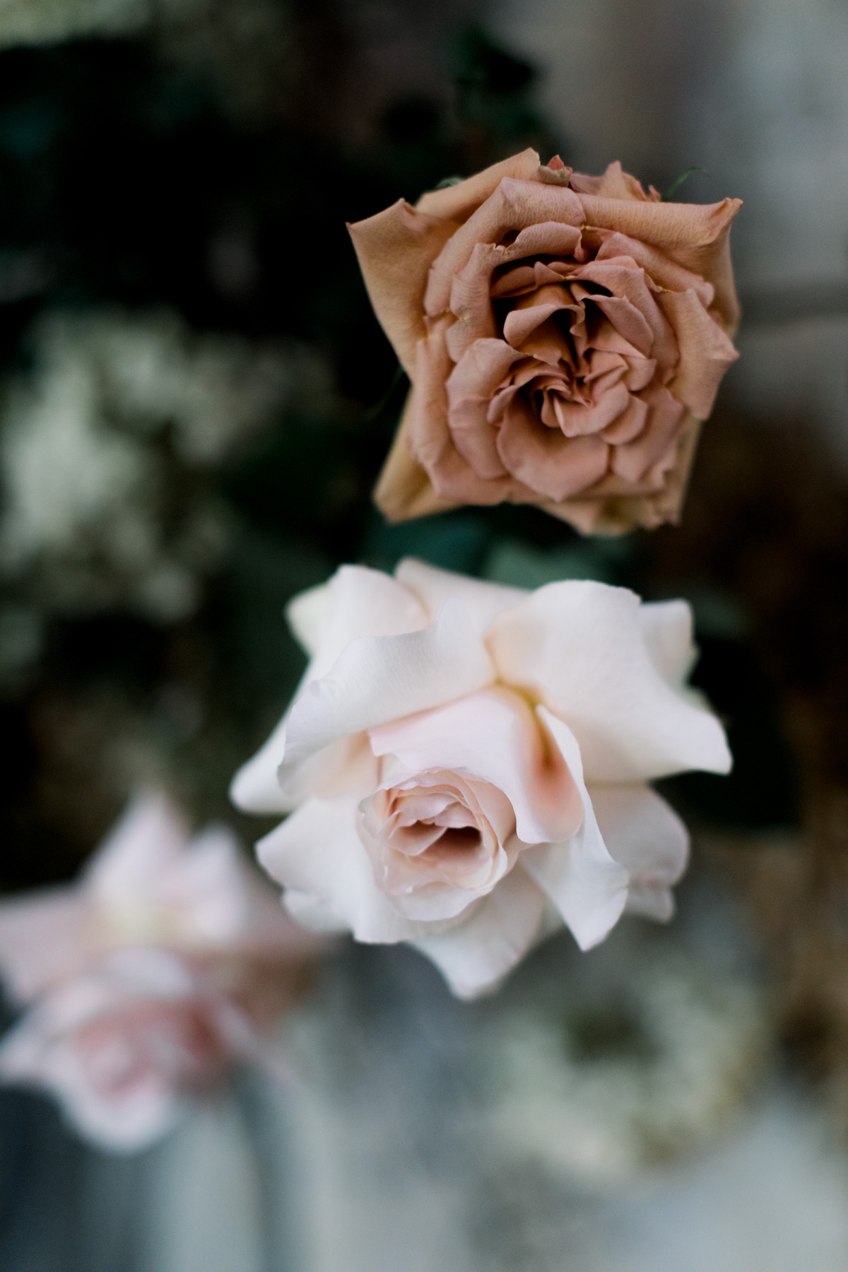 churchill-events-editorial-lovers-narrat