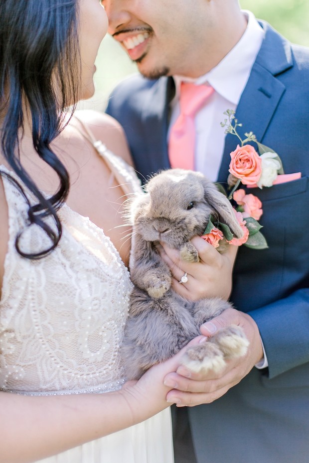 wedding bunny