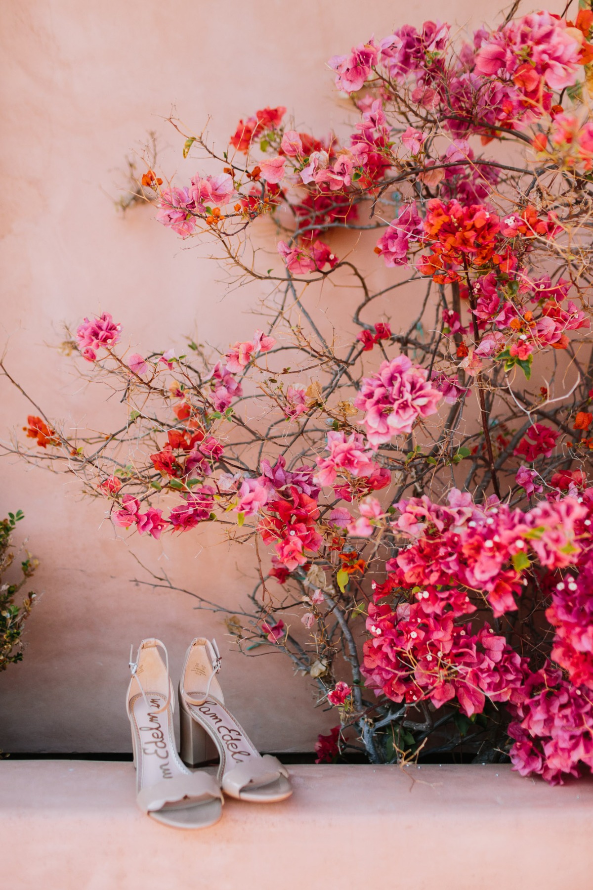 letsfrolictogether_20190503_0007