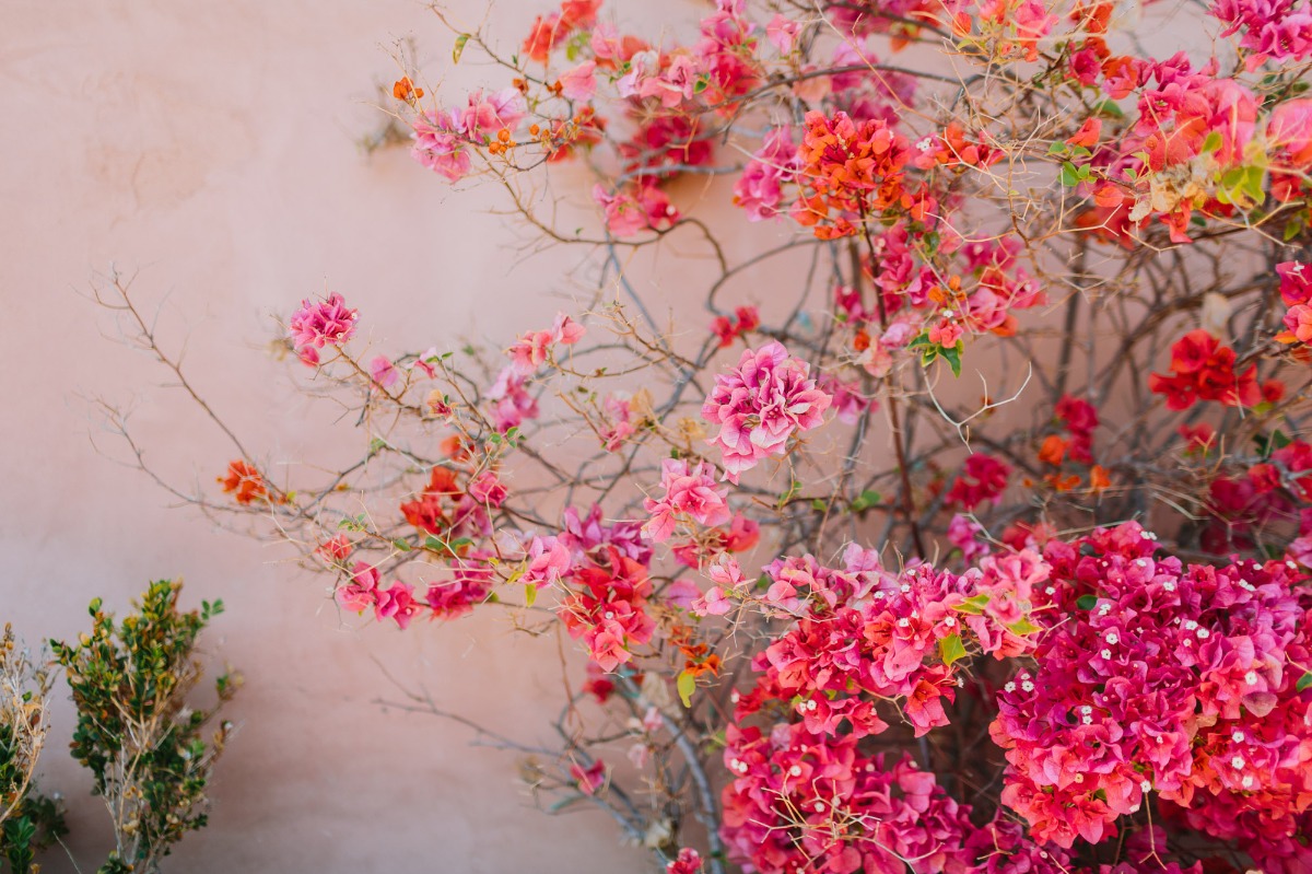 letsfrolictogether_20190503_0011