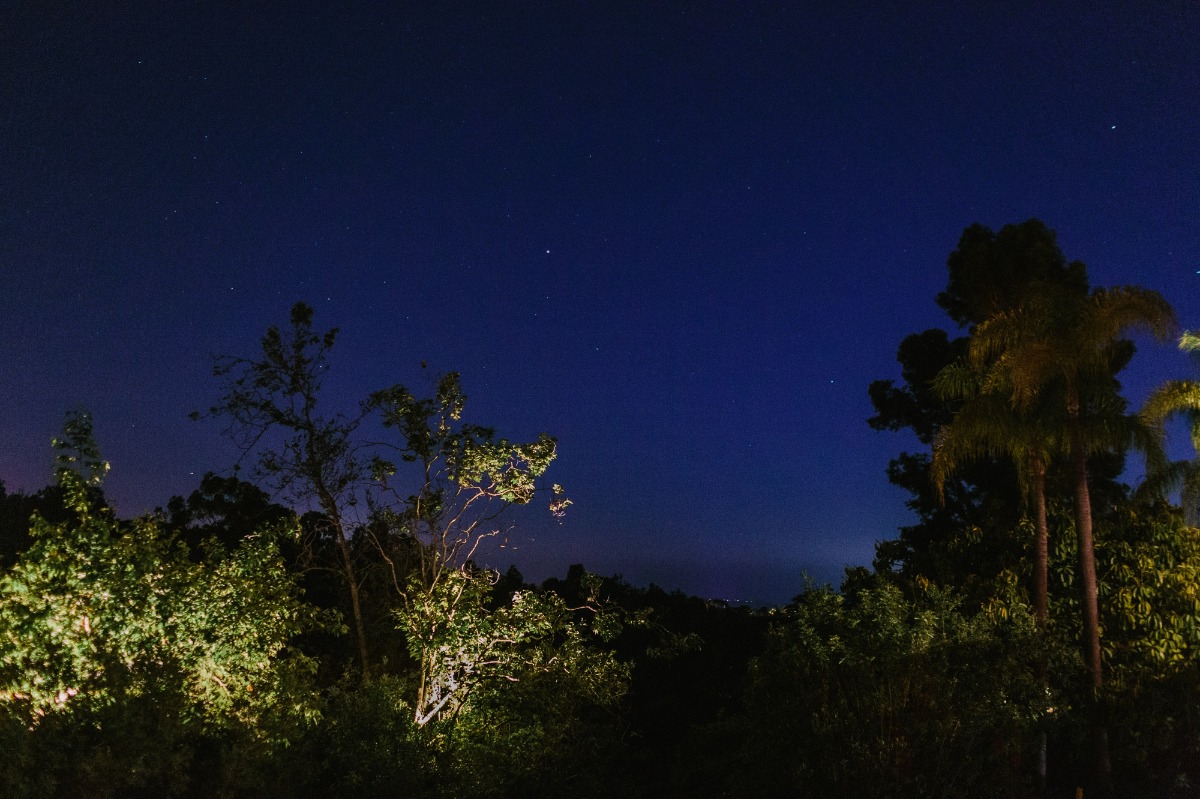 letsfrolictogether_20190503_0096
