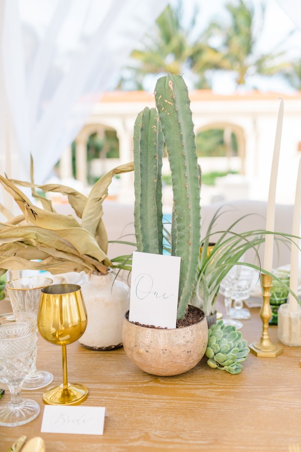 wedding table number with cactus