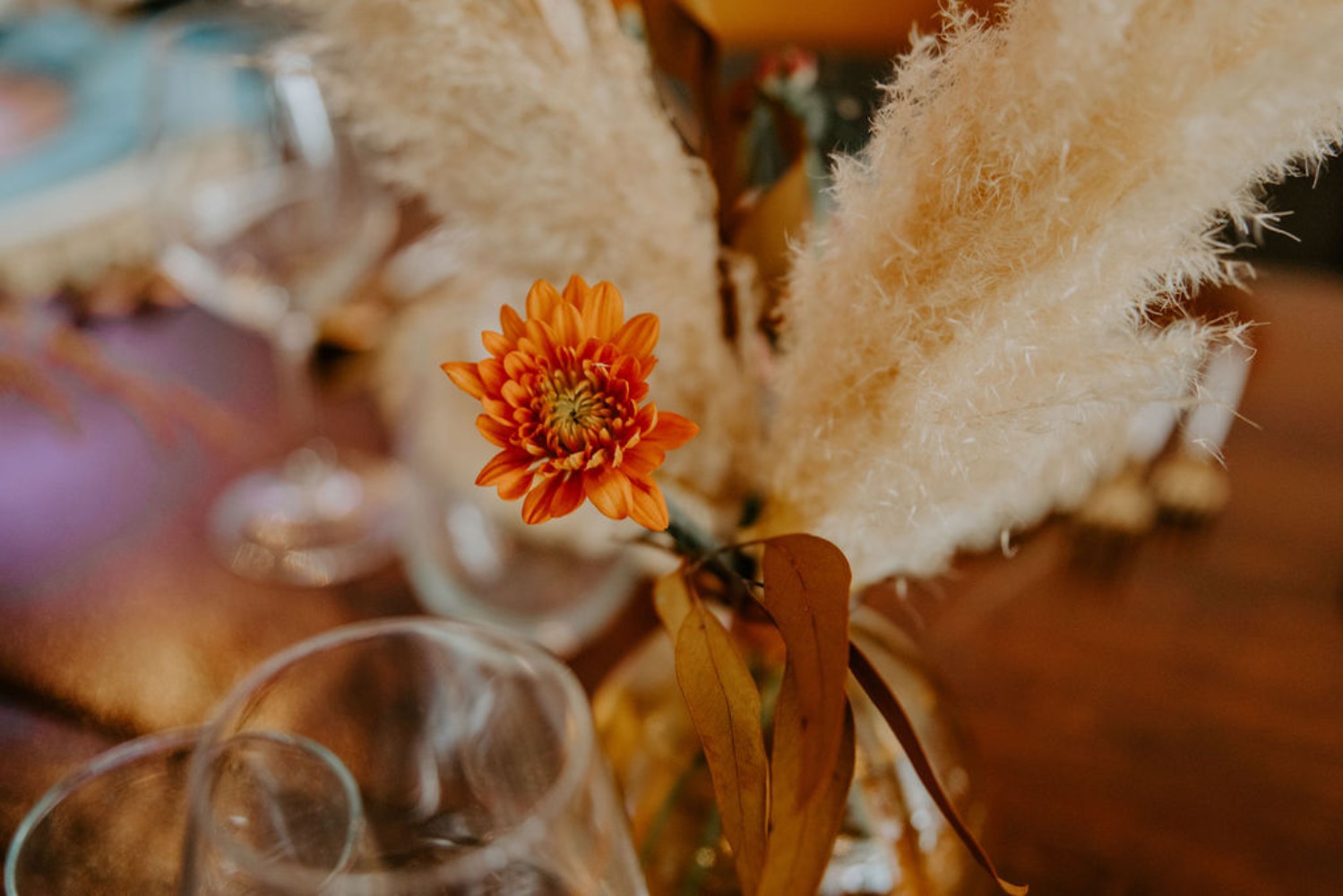 NickPattonPhotography-6