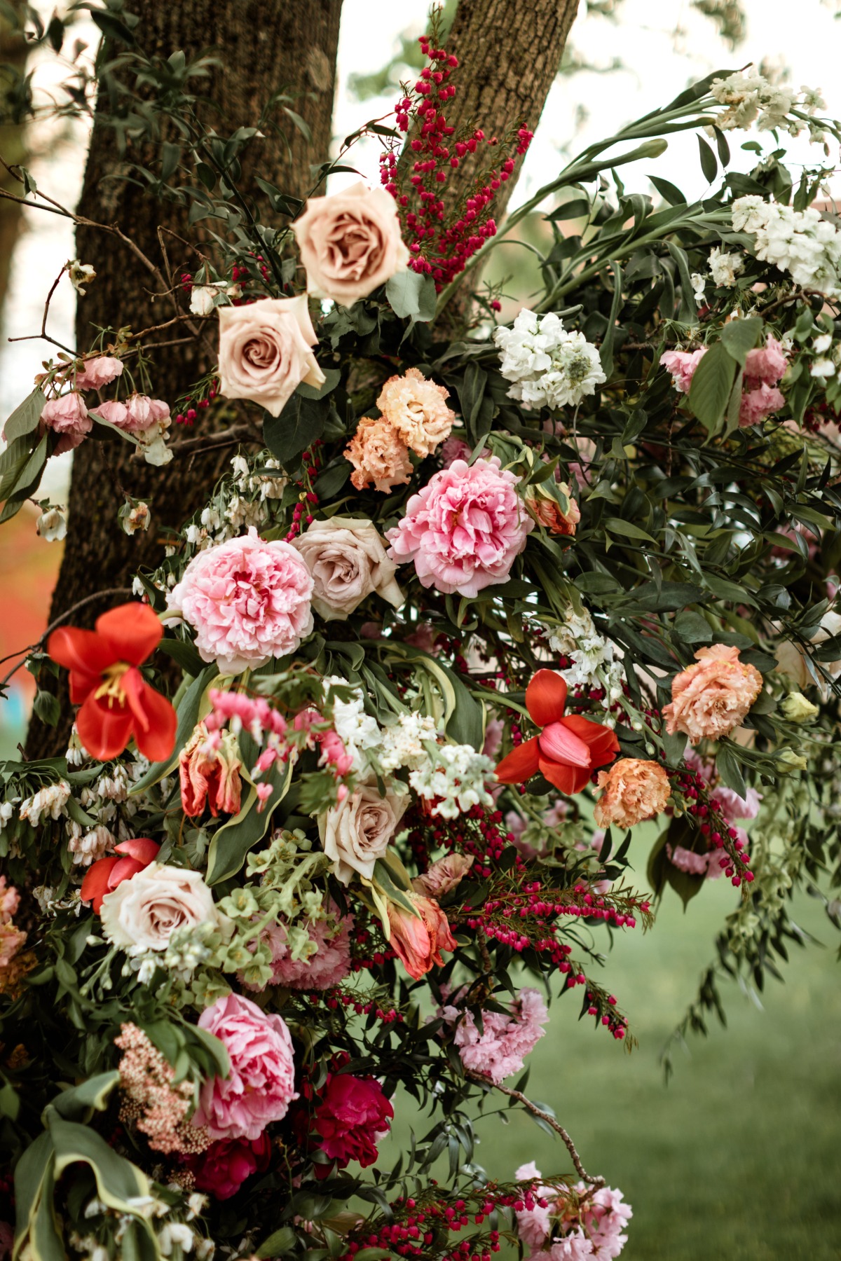 sarahfrench-190425-0199