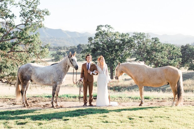 wedding horses