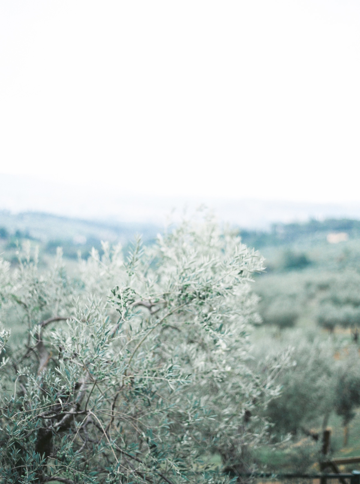 blog-6