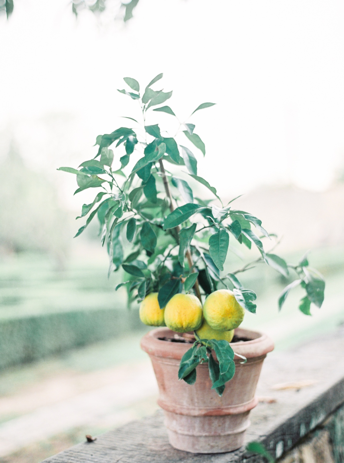 blog-8