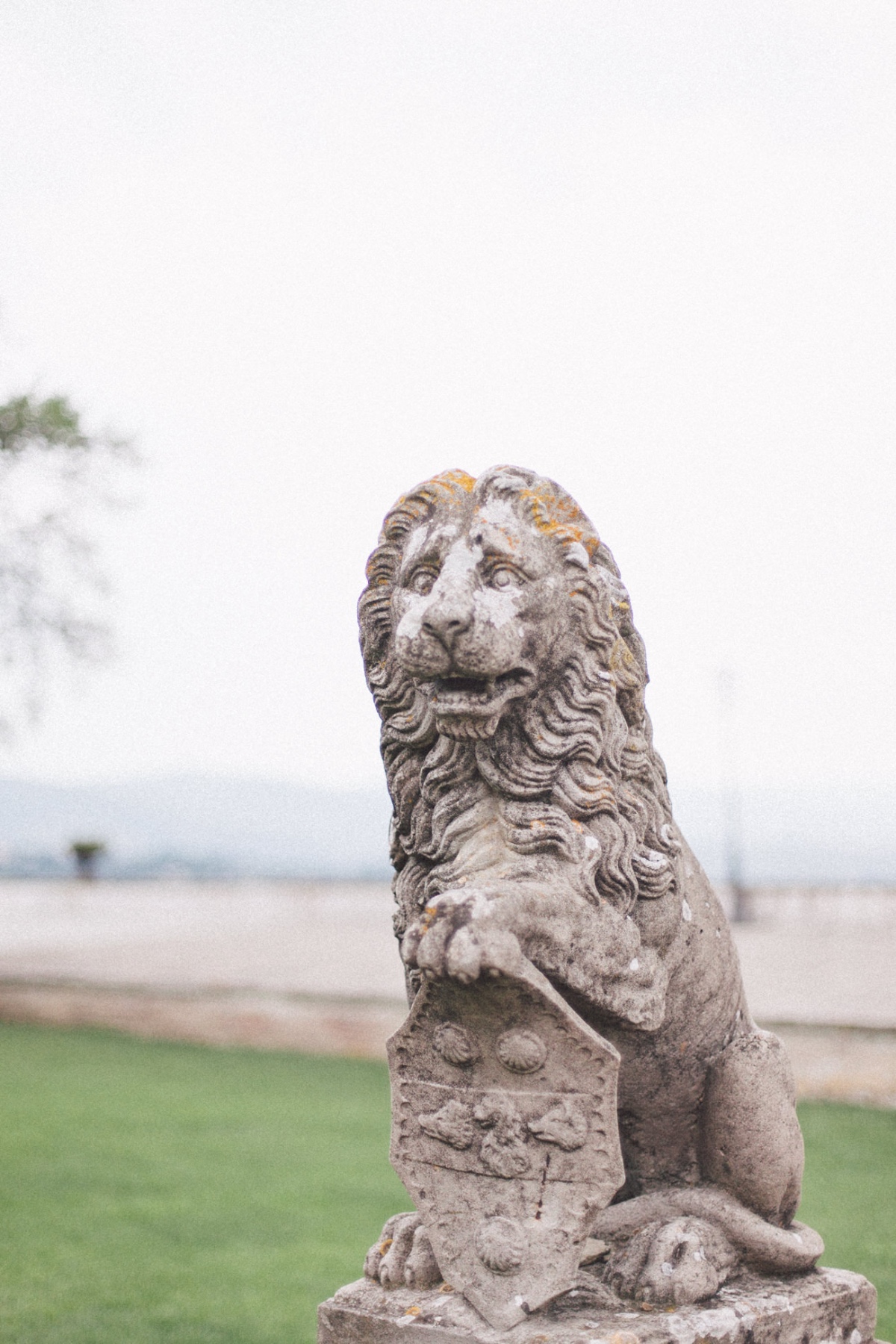 blog-9