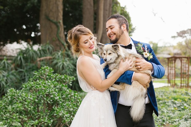 wedding couple and wedding puppy