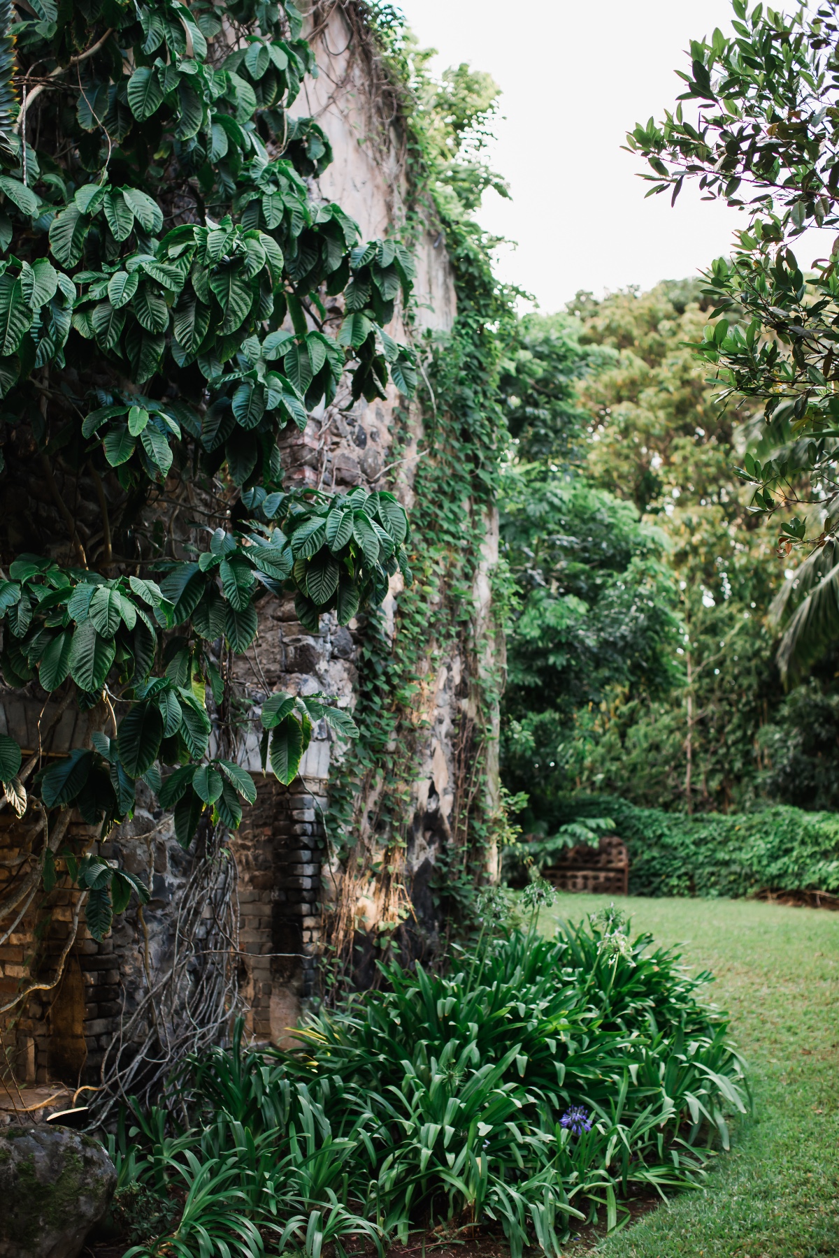 matias_ezcurra_photography-90