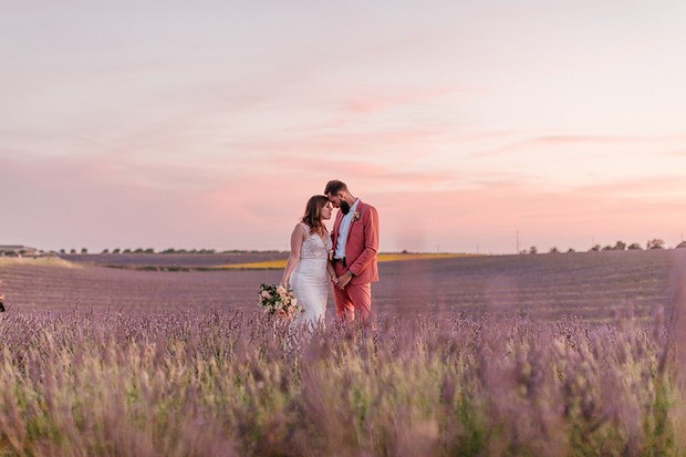 pink sunset in a lavender field