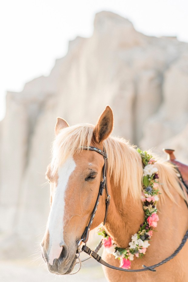 wedding horse florals