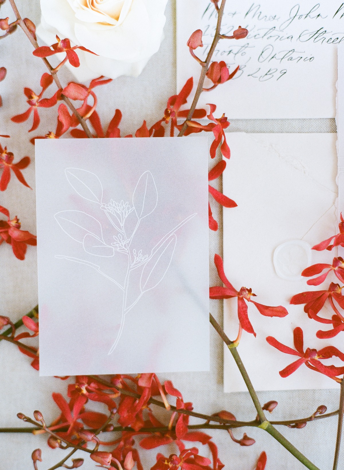 lizalitvinovich-film-0031