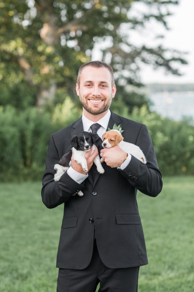 adopt a wedding puppy