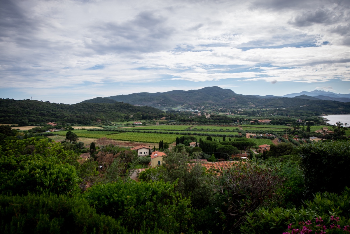 argentieri-anthony-wedding-photography-1